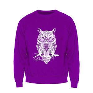 Sudaderas Personalizadas B2B con Diseño de Universidad, Bordado de Estilo Universitario, Técnica de Sublimación, Felpa de Algodón Informal - Product Image 1