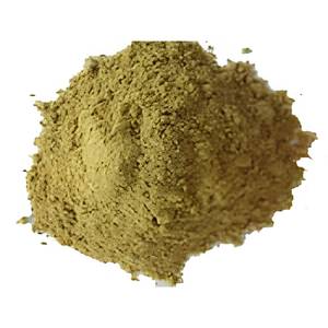 Fournisseur Professionnel d'Herbes Médicinales : Poudre de Terminalia Chebula, Matière Première Standardisée pour Formulations Ayurvédiques, Vente en Gros - Product Image 2