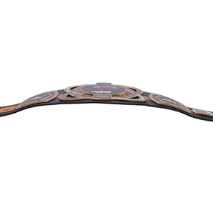 Réplica del Cinturón de Campeonato de los Miami Heat - Product Image 5