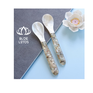 BEST SELLING Safe Clean Eco Mother Of <b>Pearl</b> Spoon 2026 Pure Shell Utensil Best For Caviar Serving And Table Dining Direct Price - Product Image 1