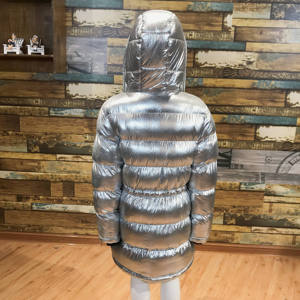 Veste matelassée à capuche argentée, fermeture éclair, coupe-vent, épaisse, pour l'hiver, unisexe, décontractée, couleur unie, manches longues, doublure en fausse fourrure - Product Image 6