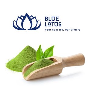 Disponible : Poudre de thé vert matcha écologique de qualité supérieure, stimulant d'énergie durable, export direct usine - Product Image 1