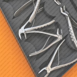 Juego de Pinzas de Extracción Pediátricas de Alta Calidad, Pinzas Dentales Pediátricas, Instrumentos de Extracción de Dientes de Bebé OEM - Product Image 3
