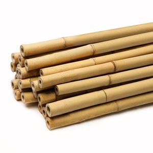 เสาไม้ไผ่คาร์บอนสำหรับตกแต่งต้นไม้ - Product Image 5