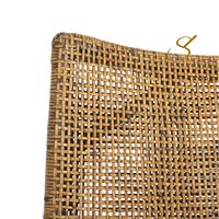 Fauteuil en rotin moderne Eco-Luxe