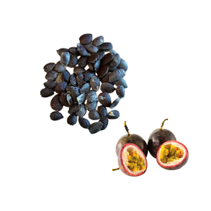Premium Quality Made In Vietnam Cheap Price Best Selling Selected Dried Passion Fruit <b>Seeds</b> <b>Packed</b> in 25kg Bag - Product Image 1