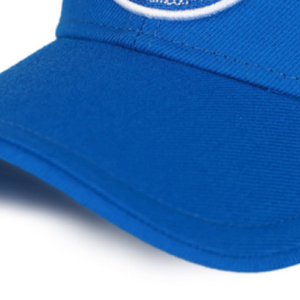 หมวก Zeta Phi Beta Sorority สีน้ำเงินรอยัล หมวกตัวอักษรกรีกสำหรับผู้หญิง ปักลายตราสัญลักษณ์ หมวกเบสบอลแบบปรับได้ หมวกสวมศีรษะลำลอง - Product Image 6