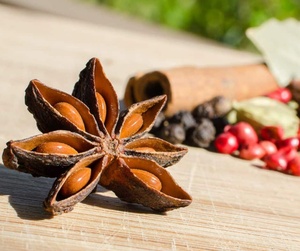 International Standard Low Price Made In Viet Nam Top Best Selling Star Anise Bulk Supply - Product Image 2