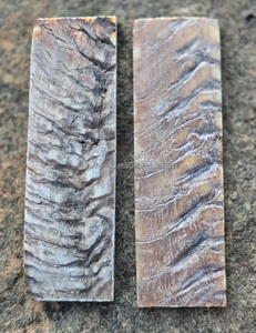 เครื่องชั่งน้ำหนักแตรแกะสีดำ - Product Image 1