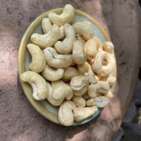 Hoge Kwaliteit Biologische Cashewnoten W320 W240 Vietnam Groothandel Met Husker Gedroogde Vruchten Laag Vet Rauwe Cashewnoten