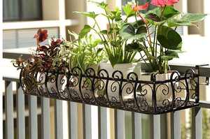Iron wall mounted flower <b>basket</b> <b>plant</b> holder garden decor balcony patio outdoor home terrace ornament farmhouse showpiece decor - Product Image 4