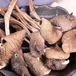 Film soufflé Premium Fresh Termite Mushroom, qualité moulage par soufflage, couleur naturelle, sain, entier, en plastique HDPE, pour applications culinaires, en vrac - Product Image 1