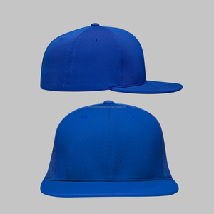 Nuevo estilo, gorras de alta calidad, gorra de béisbol básica en blanco sin marca con logotipo personalizado barato - Product Image 1