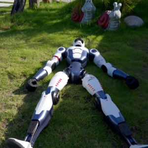 רובוט כלב Unitree Go2 Pro AI בעל ארבע רגליים, רובוטיקה עם אינטליגנציה מובנית לבדיקה תעשייתית, חינוך ומחקר, ארצות הברית - Product Image 5