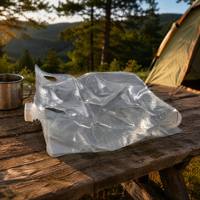 Sac BIB transparent avec bouchon à valve de 1L à 20L, qualité alimentaire, anti-fuite, pour sirop, crème, purée de tomates, purée de fruits, boissons