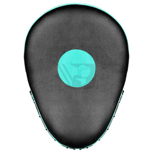 High Quality Professional Custom Made Premium Neoprene/EVA/Polyester Eco-Friendly Washable Martial Arts Target Curved <b>Boxing</b> - Product Image 4