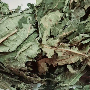 MÁS VENDIDO: Hoja de Papaya Crujiente del Delta de Vietnam, Té Seco Fácil de Preparar, Sabor Suave, Alimento para Conejos, 3kg/Bolsa, 12 Meses de Caducidad, Exportación - Product Image 1