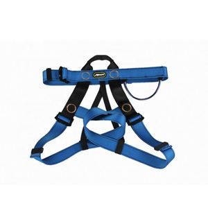 Arnés de Seguridad CITICITY para Escalada en Roca, Protección Contra Caídas de 22KN, Certificado CE, Capacidad de 140 kg, Anillo en D de Aluminio - Product Image 2