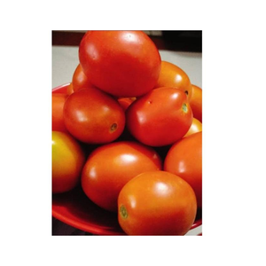 Fresh Red Tomato Firm and Juicy 100% Natural Export Quality Vegetable for Wholesale Distribution and Food Processing - Product Image 5