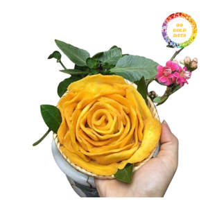 Meilleures ventes - Tranches de mangue séchée sucrée de haute qualité - Fabrication vietnamienne - Product Image 3