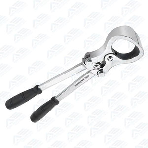 Equipo Médico de Alta Calidad, Herramienta de Castración de Acero Inoxidable para Ganado Vacuno, Ovino y Porcino, Castración Veterinaria - Product Image 2