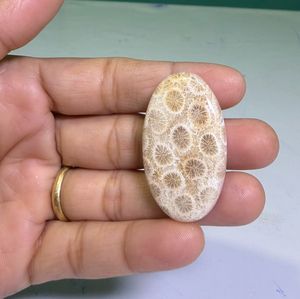 Cabochons de corail fossile naturel, cristaux minéraux polis, pierres précieuses de haute qualité, formes variées, matériaux en vrac pour la fabrication de bijoux - Product Image 2