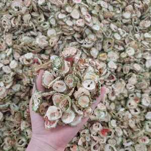 Rodajas de Melón Amargo Seco de Vietnam para Té y Uso Alimentario, Suministro a Granel de Alta Calidad, Nueva Cosecha - Sra. Tarina - Product Image 3