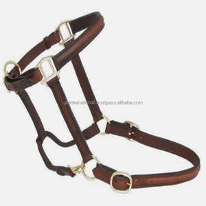 Customized Dark Brown <b>Padded</b> leather horse halter in full cob sizes with heavy duty brass fitting leather halter horse - Product Image 5