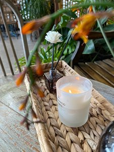 Juego de 2 bandejas rectangulares de jacinto de agua, ideales para almacenamiento en la cocina y la sala de estar. - Product Image 2