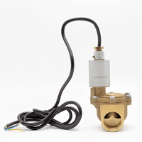 Vanne solénoïde en cuivre DSF-40 1-3/4" haute précision pour le contrôle du carburant, pièce de rechange pour distributeur de carburant