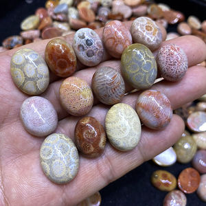 ขายส่งพลอยปะการังโบราณคุณภาพสูงธรรมชาติ  แบบคาโบชอง สำหรับทำเครื่องประดับ - Product Image 2