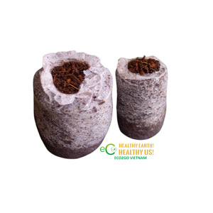 Pastilles de tourbe de coco pour la germination des graines, la propagation des plantes, la pépinière et le jardinage intérieur Eco2go Vietnam - Product Image 3