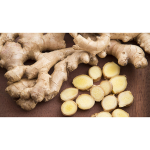 Gingembre frais Gingembre de haute qualité Gingembre frais entier au meilleur prix disponible dès maintenant - Product Image 3