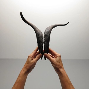 Paires de cornes de chèvre naturelles, finition rustique, écologiques, neuves, de haute qualité pour la décoration et l'artisanat - Product Image 2