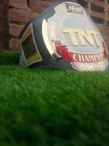 เข็มขัดแชมป์ปี 2025 รุ่นล่าสุด พร้อมงานโลหะ โลโก้สั่งทำได้ คุณภาพพรีเมียม เข็มขัดแชมป์มวย วัสดุดี ขายส่ง - Product Image 2