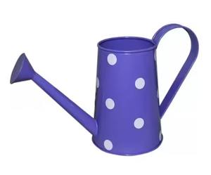 Arrosoir décoratif en métal, outil de jardinage durable pour une utilisation intérieure et extérieure - Product Image 6