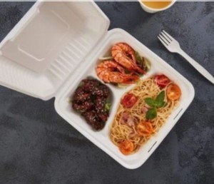 Boîte à clapet 8x8 3 compartiments biodégradable en bagasse de canne à sucre, non toxique, certifiée ISO, compostable, sans BPA, sans PFAS, pour HoReCa - Product Image 2
