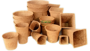 Pots en fibre de coco bio en gros, pots de démarrage pour semis en fibre de coco biodégradable pour pépinière - Product Image 3