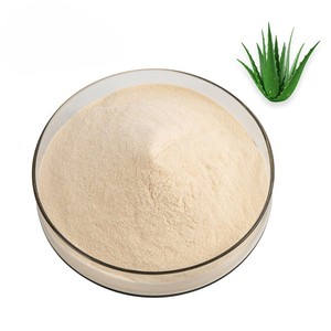 Approvisionnement en gros : Extrait de gel d'aloe vera pur à 100 % 200:1, poudre d'aloe barbadensis de qualité supérieure pour applications cosmétiques et phytothérapeutiques - Product Image 3