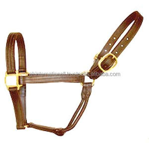 Collier de cheval en cuir coloré, robuste, fait à la main avec boucles et anneaux en laiton, vente en gros - Product Image 3