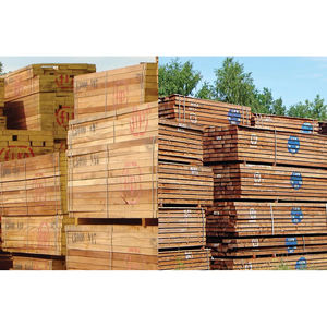 Bois tendres de qualité supérieure BSH pour architectes, constructeurs et entrepreneurs professionnels - Product Image 1