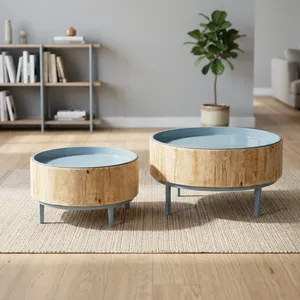 Tables basses gigognes rondes modernes en bois, lot de 2, plateau en métal, meubles de salon scandinaves - Product Image 3