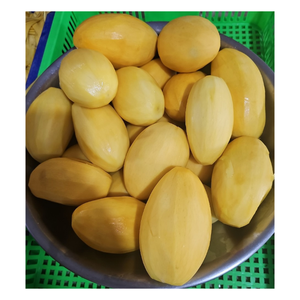 มะม่วงแช่แข็ง IQF แบบก้อน บรรจุภัณฑ์ขนาดใหญ่ ธรรมชาติ ไม่เติมน้ำตาล สำหรับสมูทตี้ ไอศกรีม และของหวาน - Product Image 2