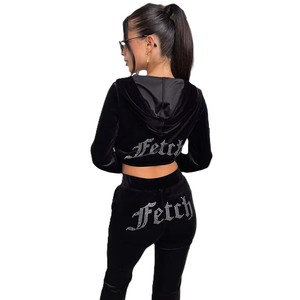 Custom Logo <b>Crop</b> <b>Top</b> 2 Piece Custom Rhinestone Logo Velvet Cropped Hoody Y2k Women's Sweatpants and Hoodie Set - Product Image 5