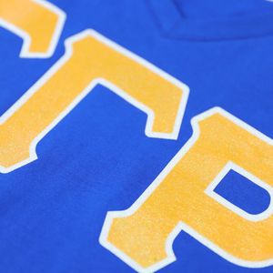 T-shirt unisexe bleu à col en V Sigma Gamma Rho, vêtement de sororité grecque, tee-shirt décontracté à manches courtes, streetwear universitaire imprimé sur mesure - Product Image 5