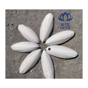 Hueso de Sepia 2026 Aprobado por Clientes para Aves, Fuente de Calcio para el Cuidado del Pico y Masticación - Product Image 1