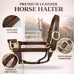Premium Leather Horse Halter Padded Adjustable Brass <b>Hardware</b> Headcollar - Product Image 4