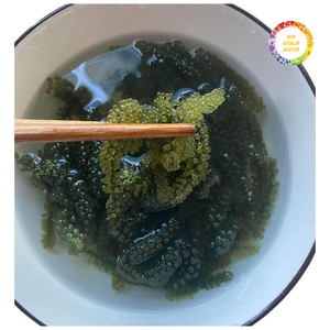 สาหร่ายทะเลสีเขียวเกรดพรีเมียมสำหรับส่งออกจากเวียดนาม - Product Image 4