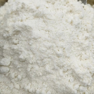 Crema de Coco en Polvo de Vietnam, Crema de Coco en Polvo Seca por Aspersión, Fabricante a Granel, Calidad de Exportación para Procesamiento de Alimentos - Product Image 1