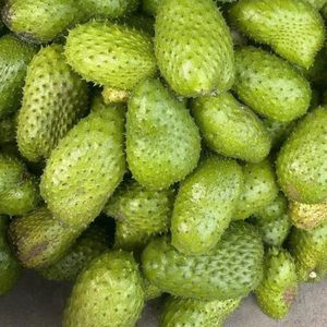 Concentré de corossol congelé, base de fruits tropicaux pour boissons, smoothies, glaces, desserts, ingrédient fourni du Vietnam. - Product Image 3